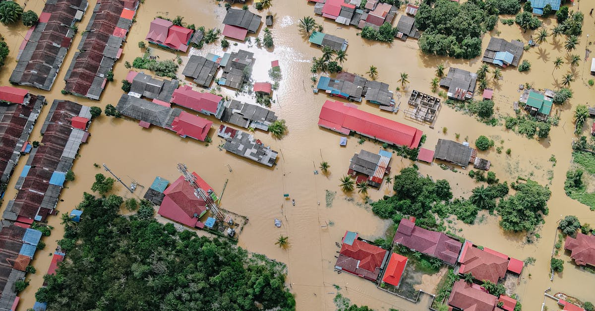 Water Damage Restoration Cottondale AL